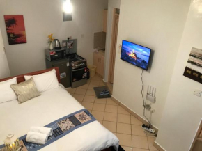Studio Apartment South B